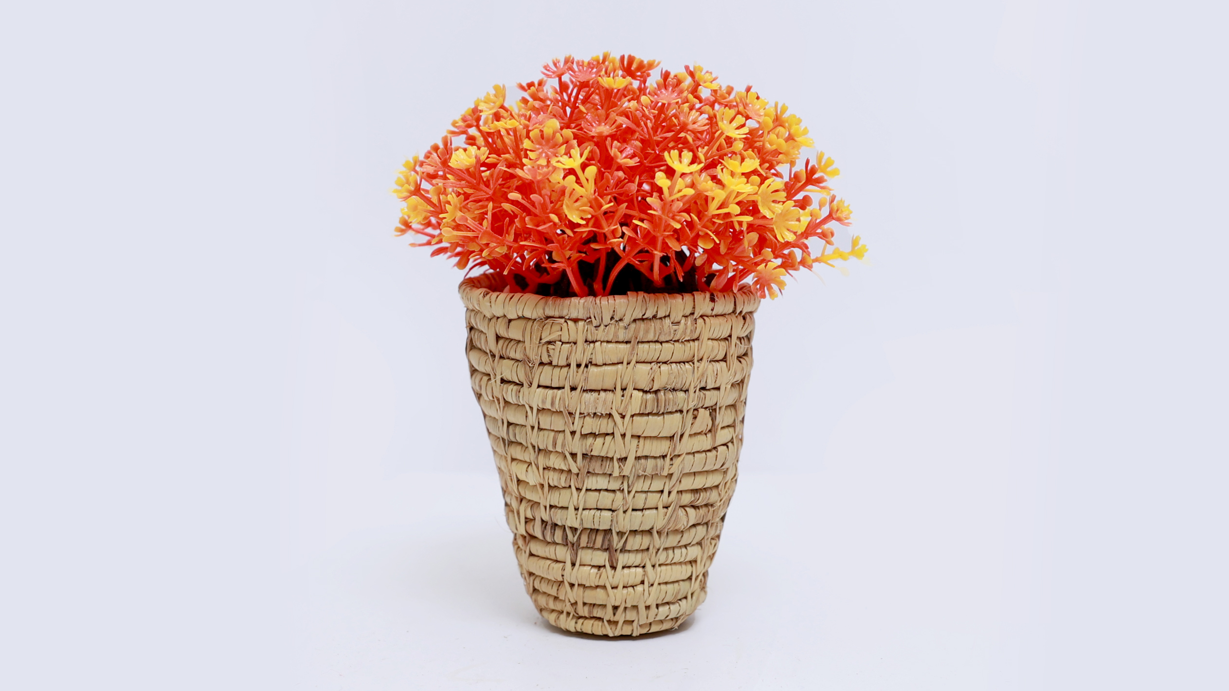 Produits végétaux Halfa et Doum