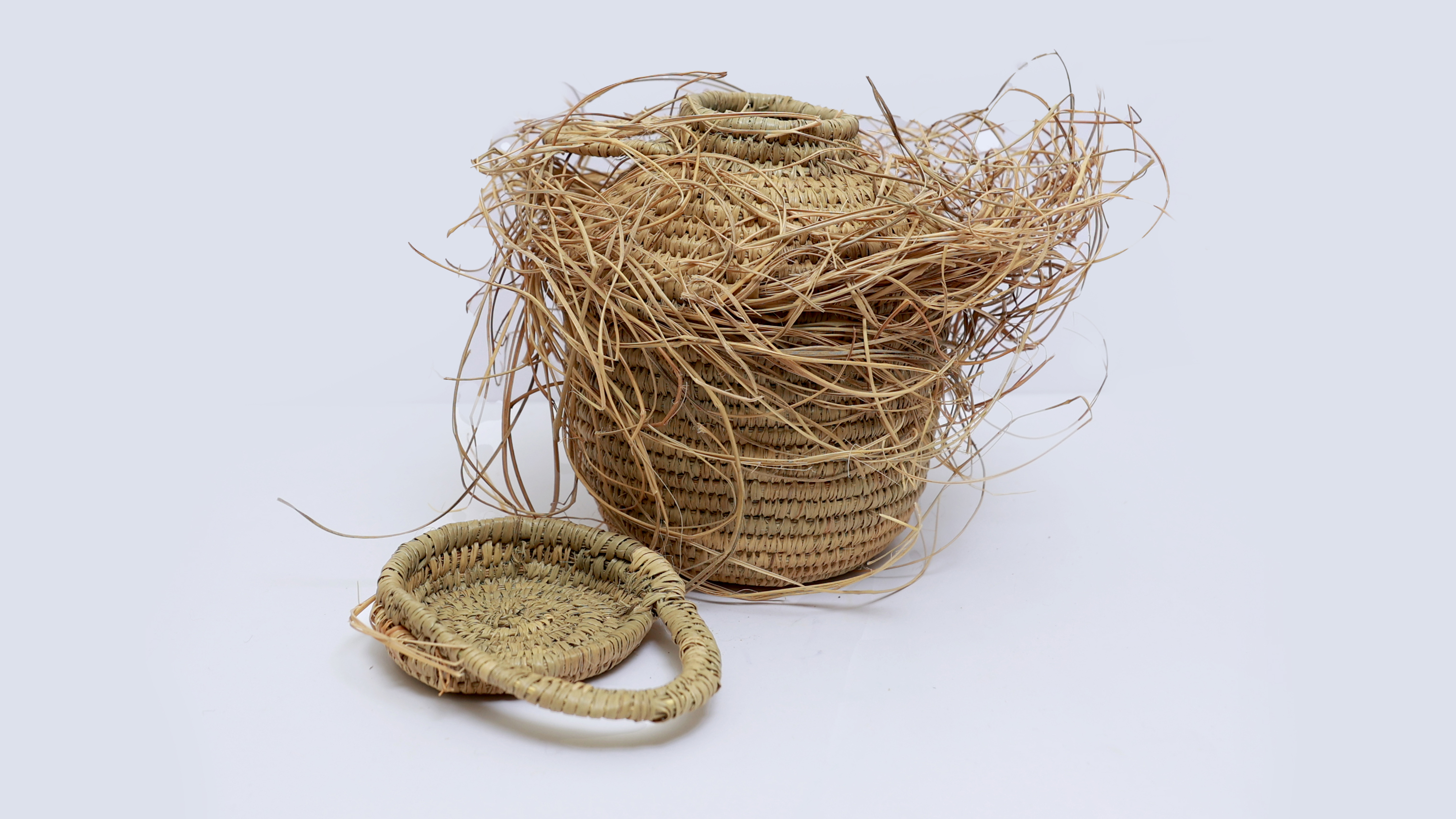 Produits végétaux Halfa et Doum