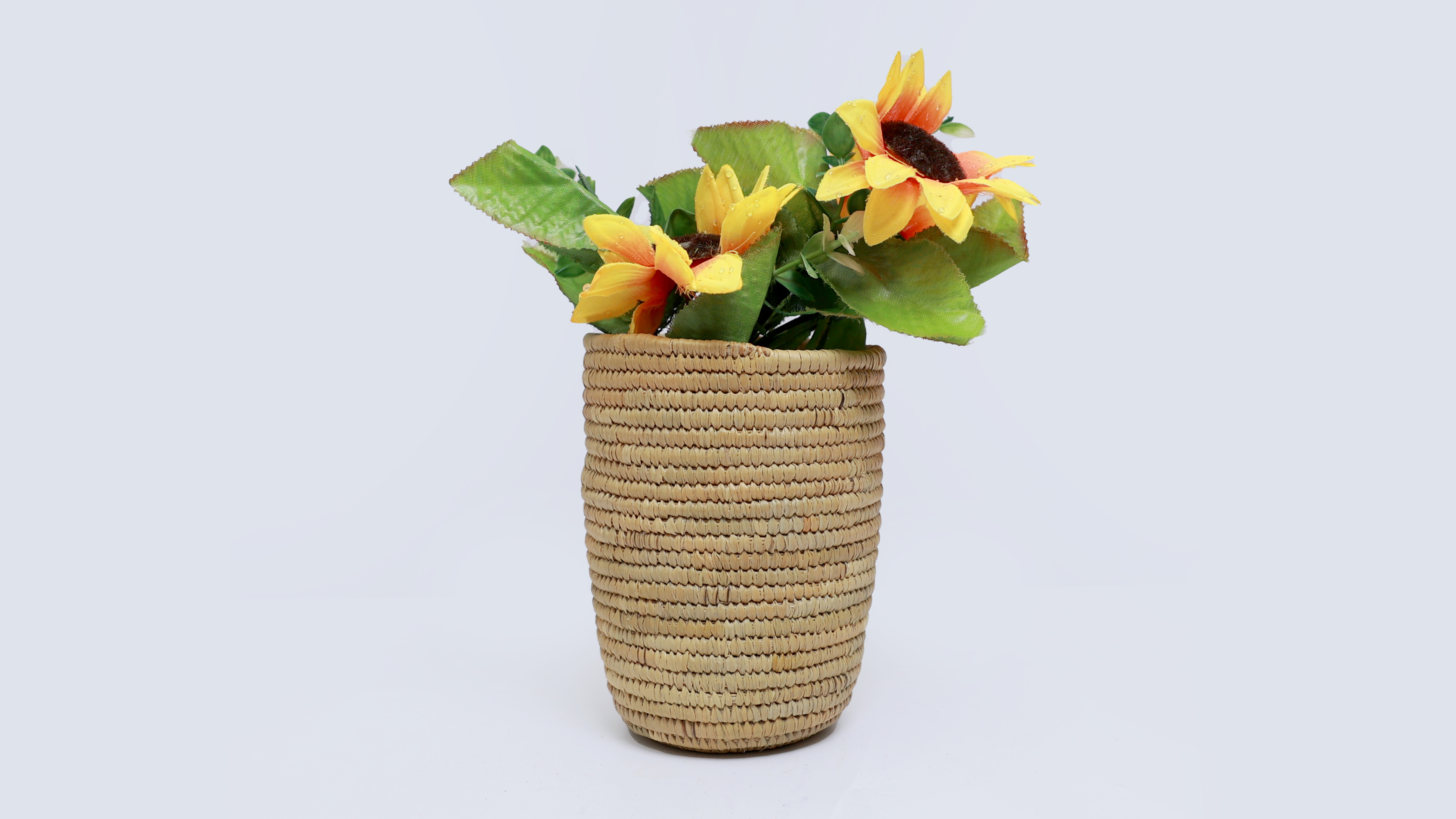 Produits végétaux Halfa et Doum