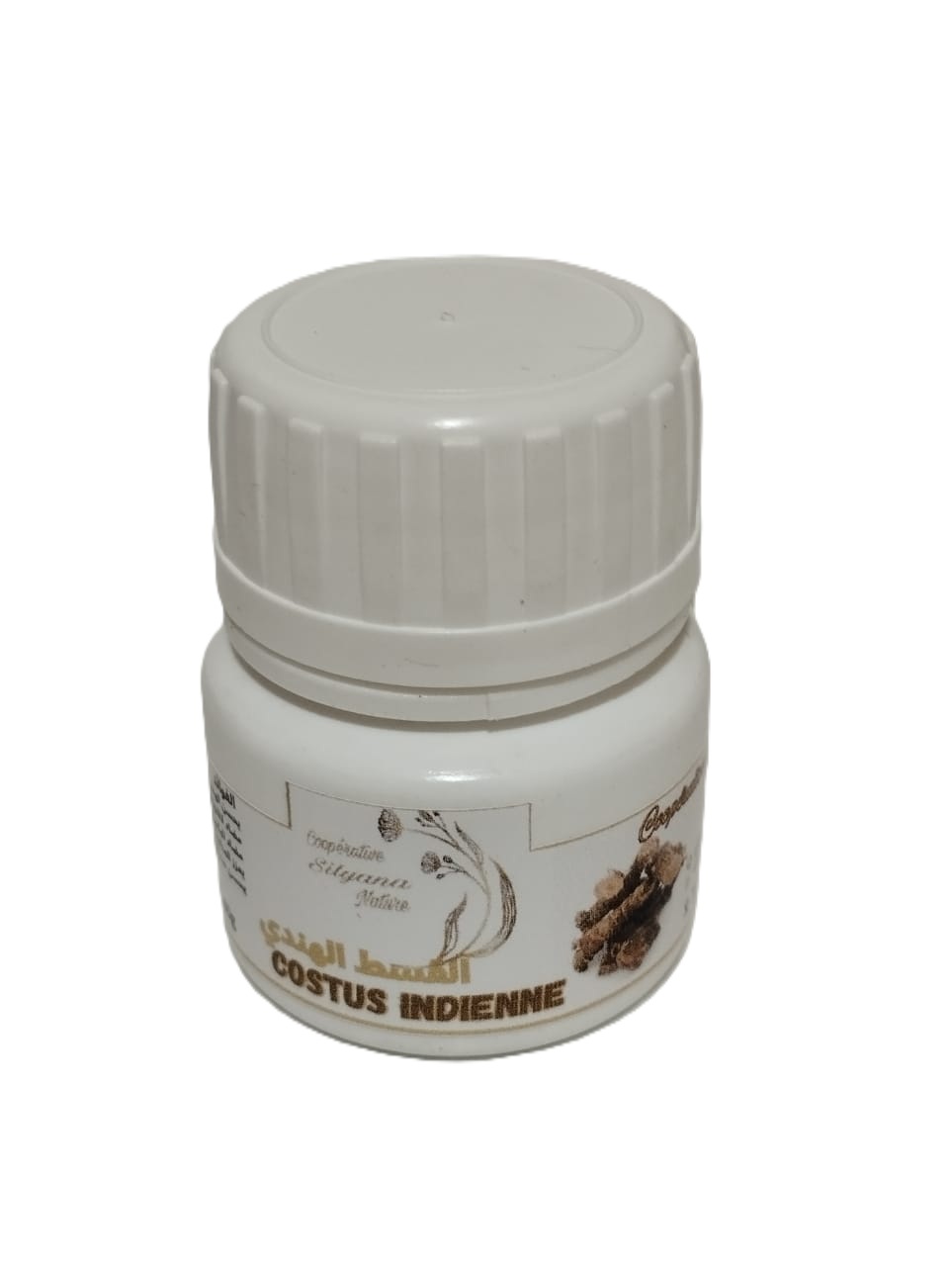 Costus Indien