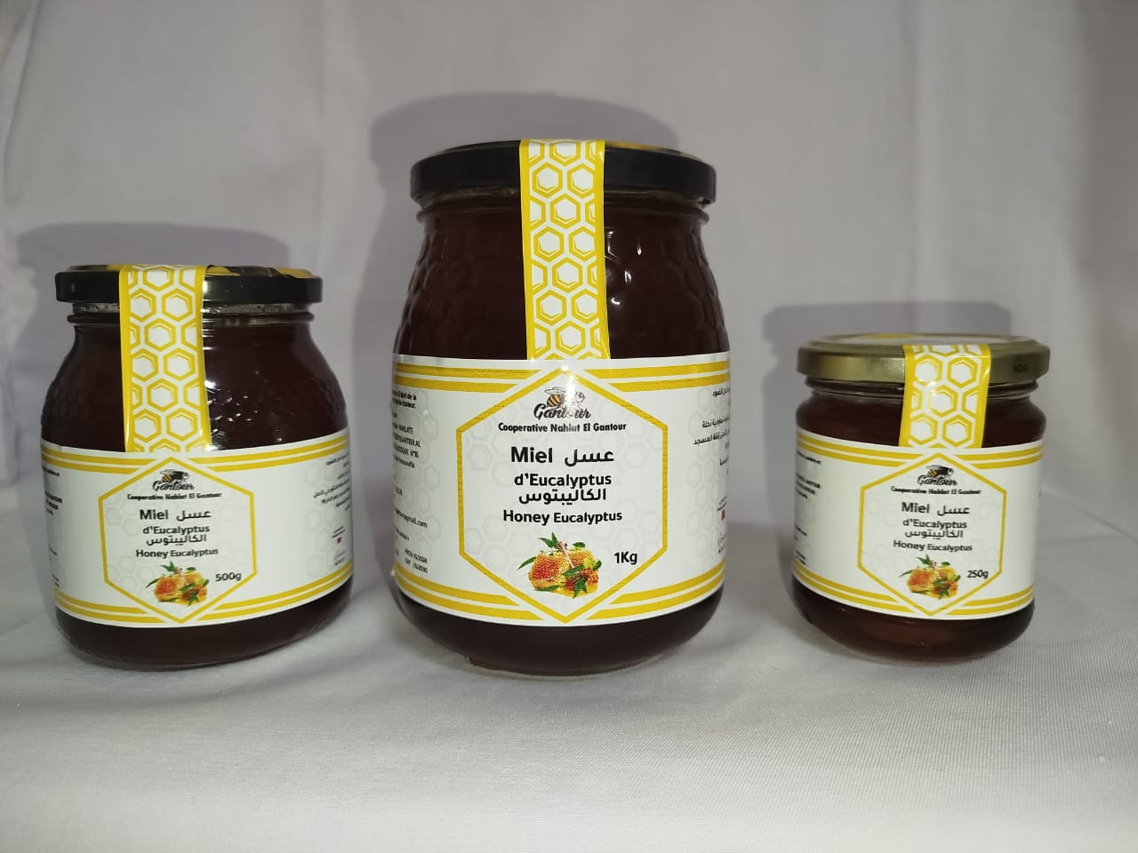 Miel d'eucalyptus