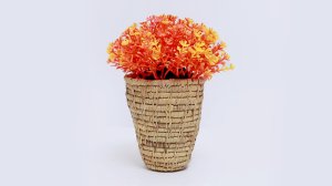 المنتوجات النباتية الحلفاء والدوم