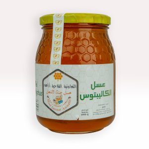 عسل الأوكالبتوس