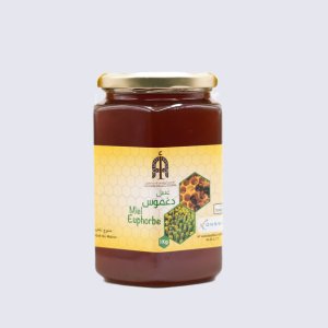 Miel Euphorbiacé Afoulki Ait 1kg