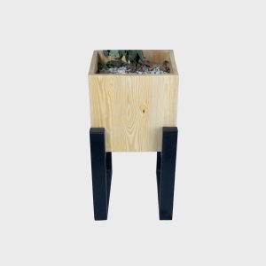 حامل نباتات