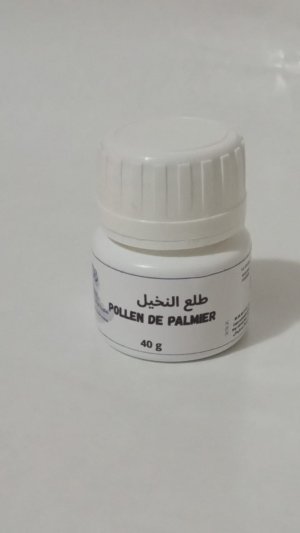 Pollen de Palmier