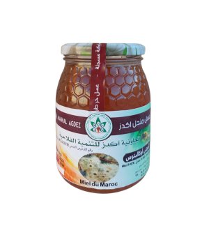 عسل الأوكاليبتوس