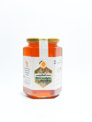 Miel d’Eucalyptus