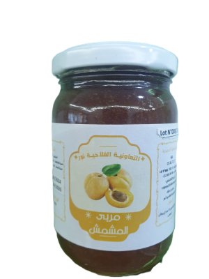 مربي المشمش