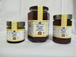 Miel d'Euphorbe résinifère Daghmous