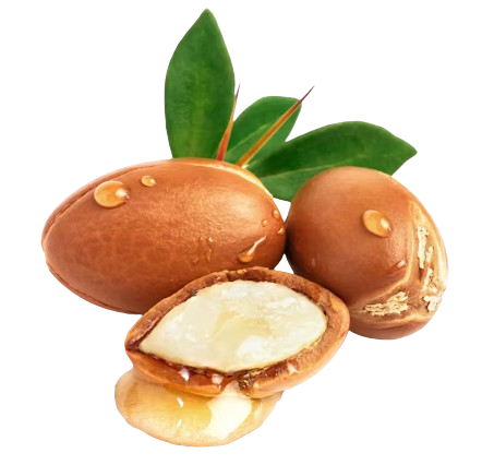 Argan et ses dérivés